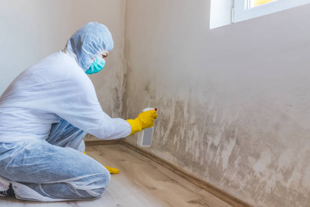 Bathroom Mold Removal assessment in Babson Park bathroom